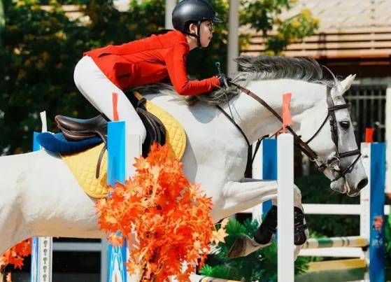 并积极推荐, 得前三名, 其实 并积极推荐, 得前三名, 其实