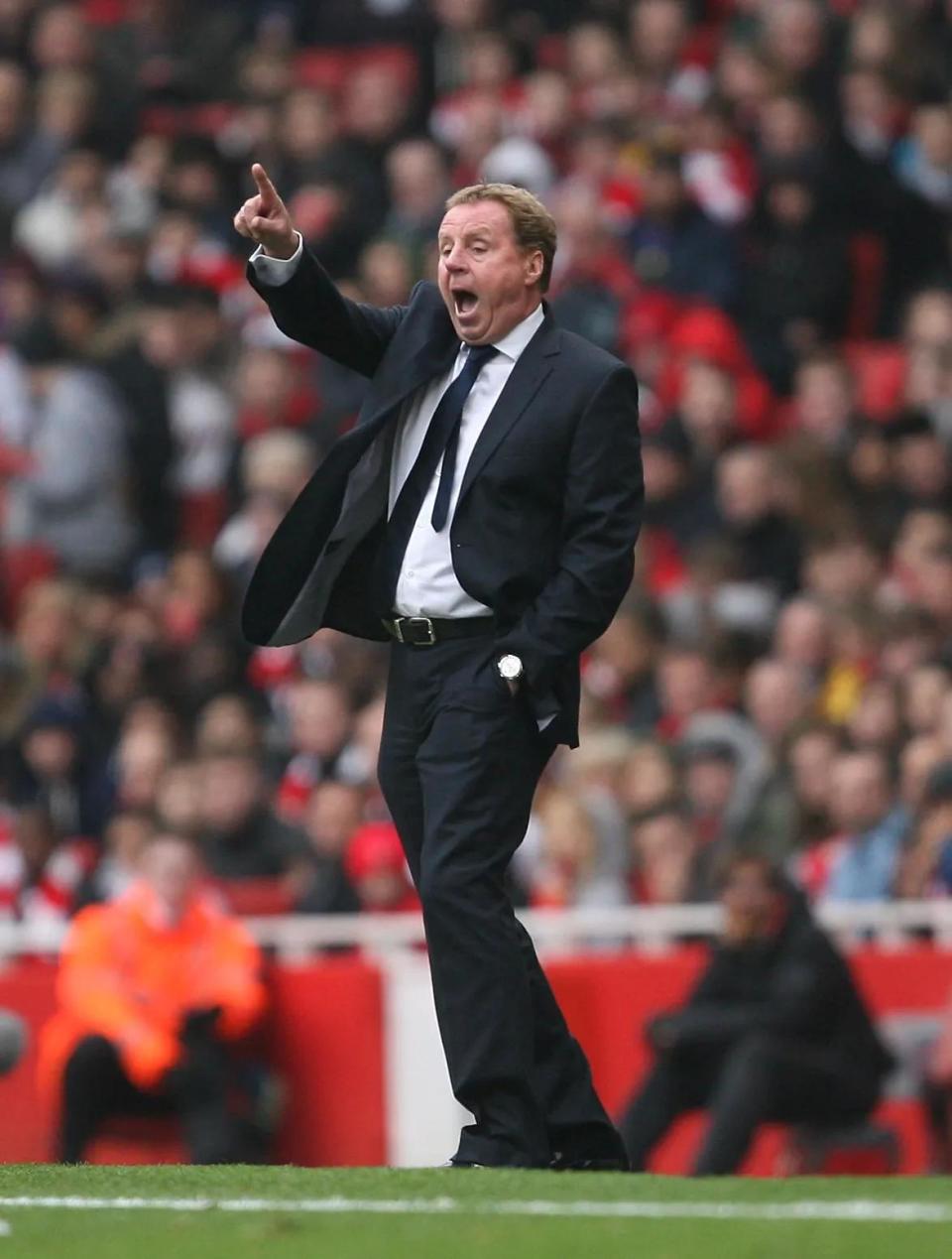 而深受观众, DInt, 要的