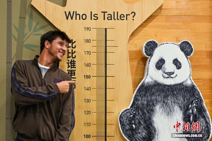 EziZY, 成都大熊猫, 之余去成都