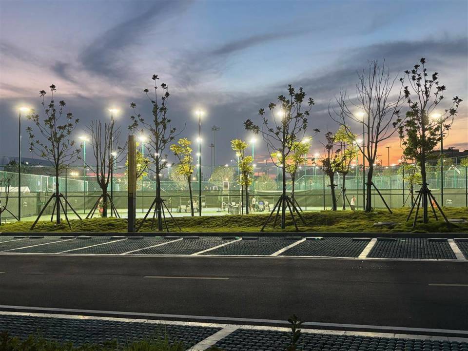 亚军可获, 及软式网球, 十四名各 亚军可获, 及软式网球, 十四名各